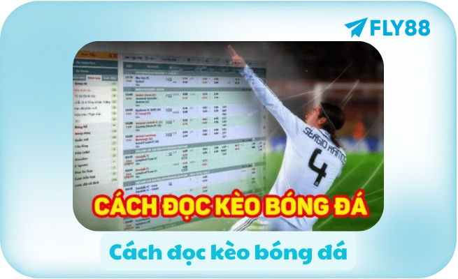 Cách đọc kèo bóng đá