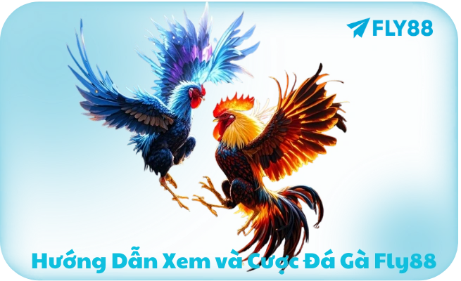 Hướng dẫn xem và cá á cược đá gà Fly88